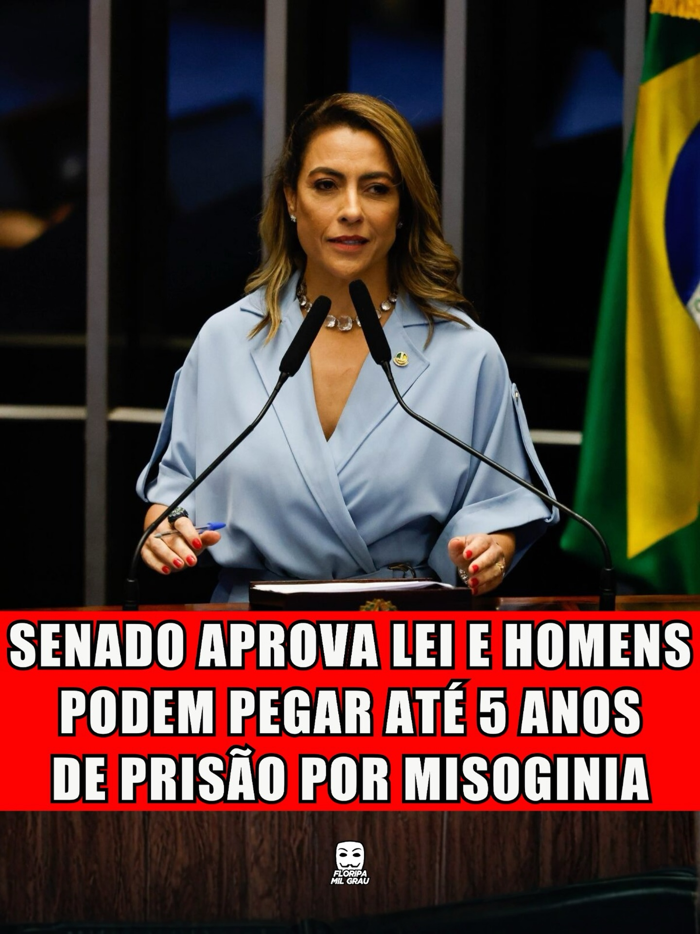 SENADO APROVA LEI E HOMENS PODEM PEGAR ATÉ 5 ANOS DE PRISÃO POR MISOGINIA