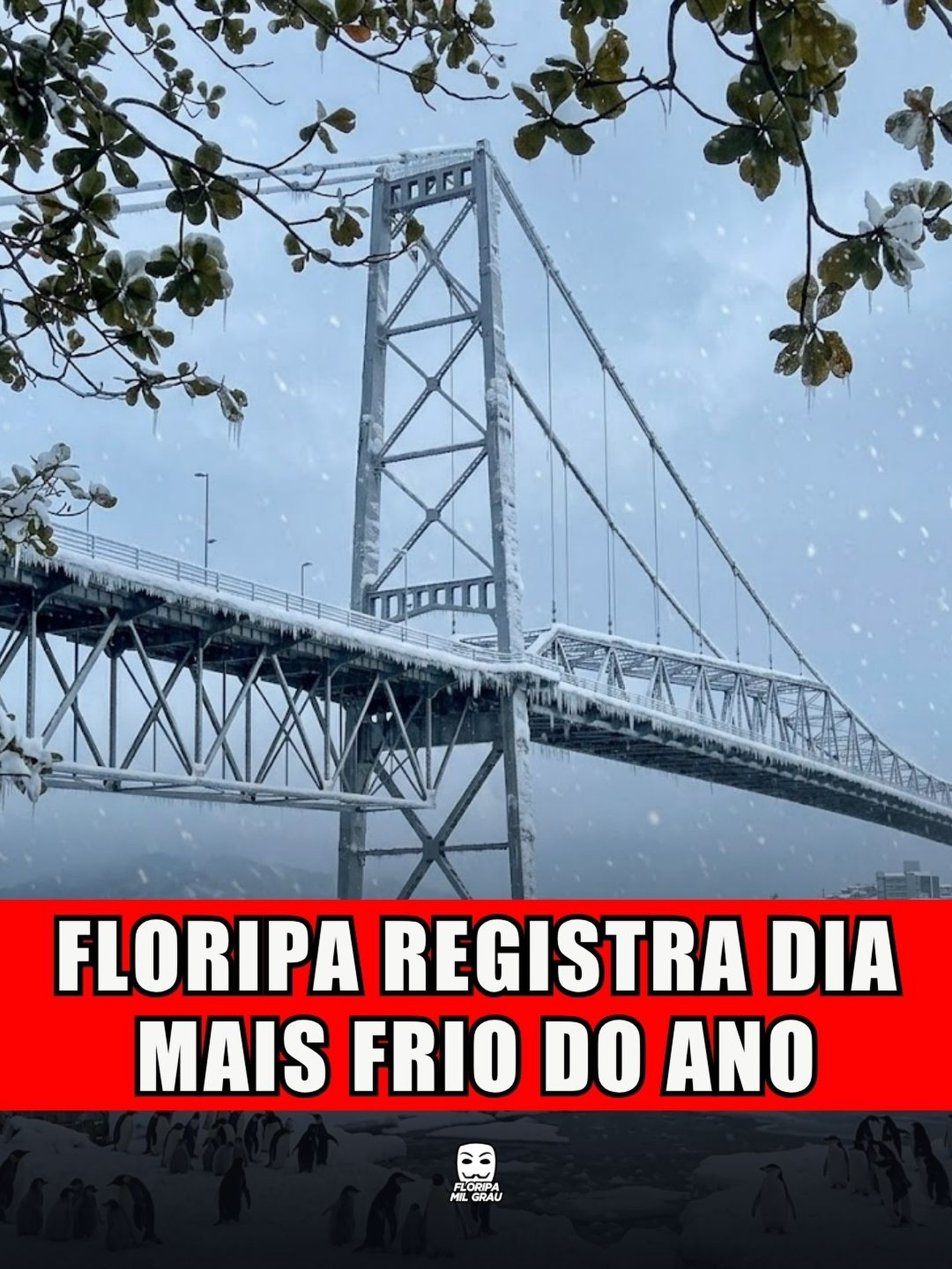 FLORIPA REGISTRA DIA MAIS FRIO DO ANO