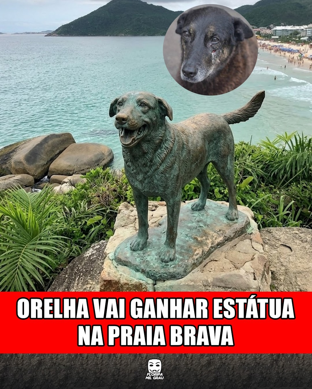 ORELHA VAI GANHAR ESTÁTUA NA PRAIA BRAVA