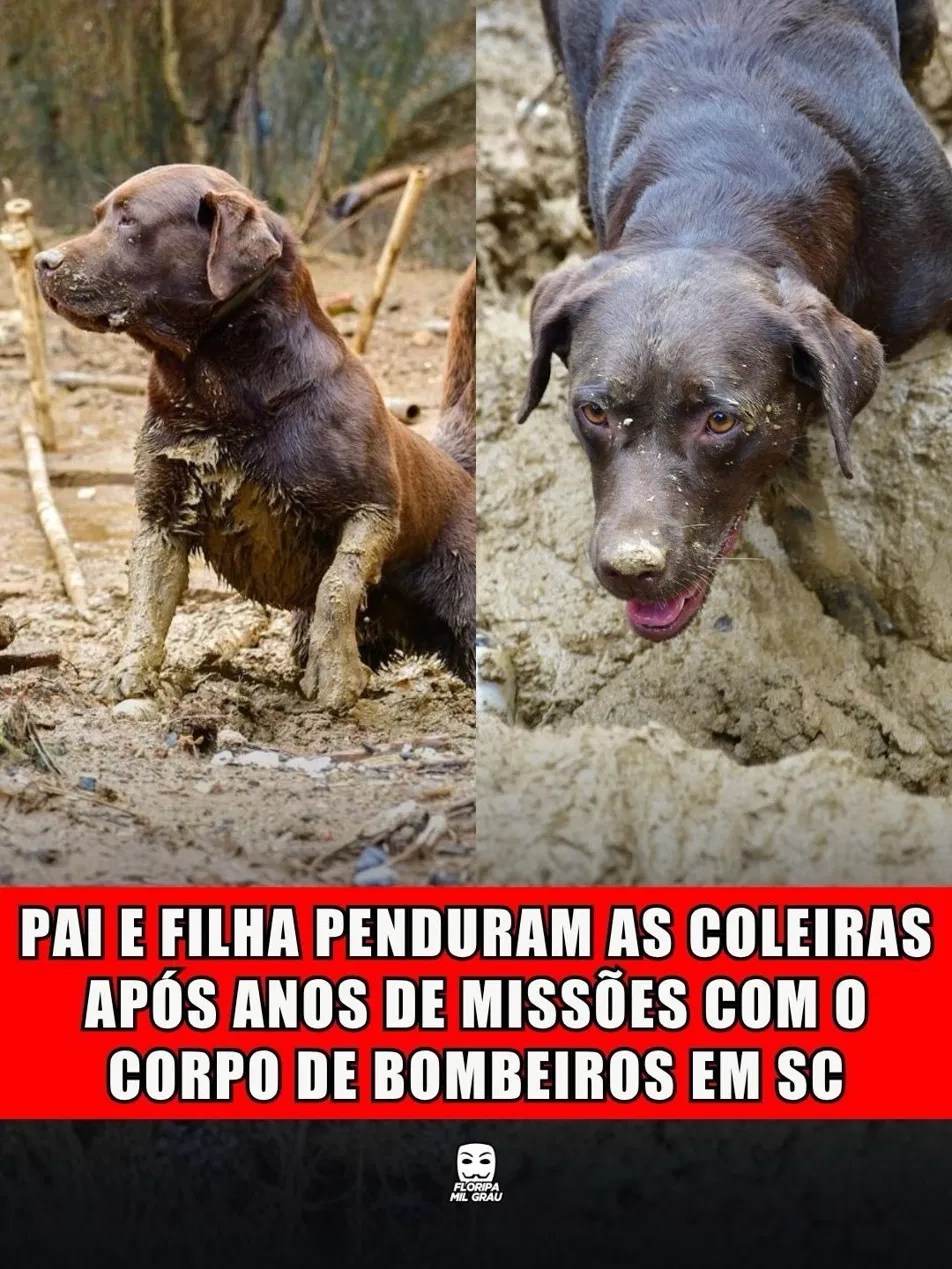 PAI E FILHA PENDURAM AS COLEIRAS APÓS ANOS DE MISSÕES COM O CORPO DE BOMBEIROS EM SC
