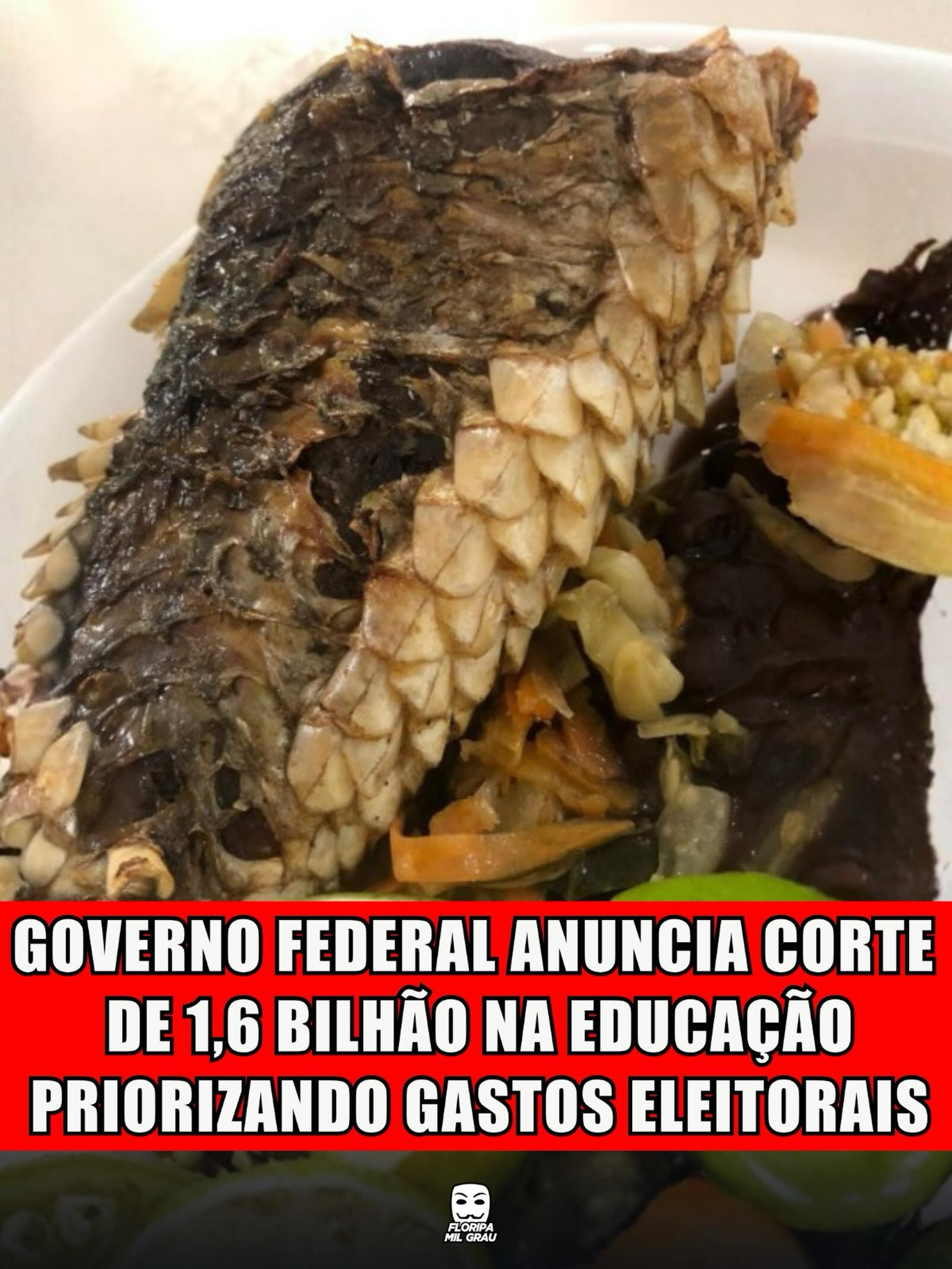 GOVERNO FEDERAL ANUNCIA CORTE DE 1,6 BILHÃO NA EDUCAÇÃO PRIORIZANDO GASTOS ELEITORAIS