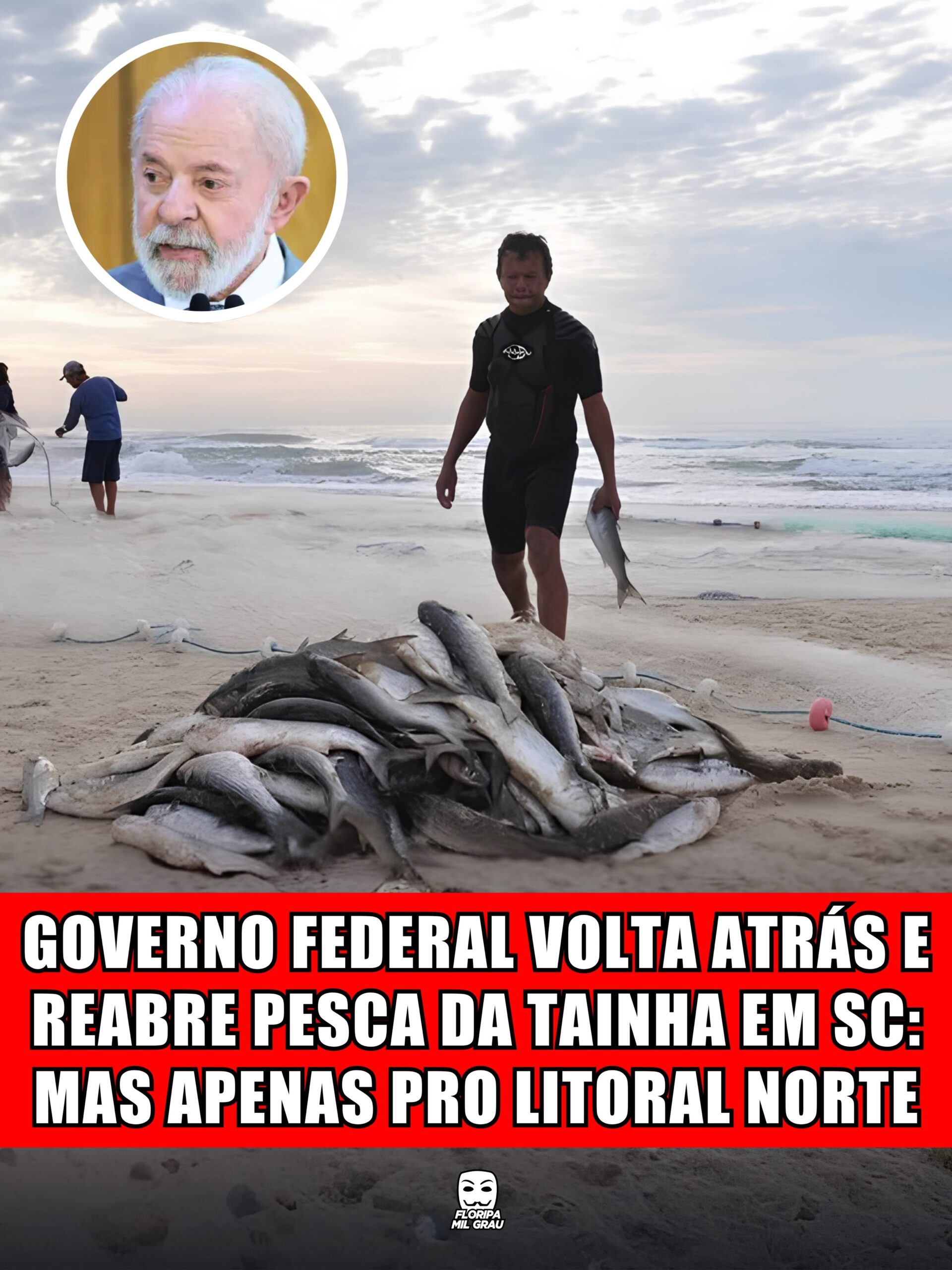 GOVERNO FEDERAL VOLTA ATRÁS E REABRE PESCA DA TAINHA EM SC: MAS APENAS PRO LITORAL NORTE