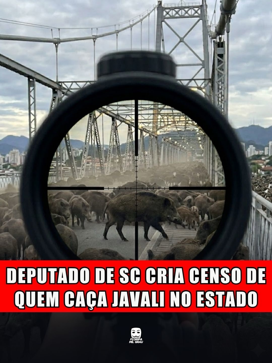 DEPUTADO DE SC CRIA CENSO DE QUEM CAÇA JAVALI NO ESTADO