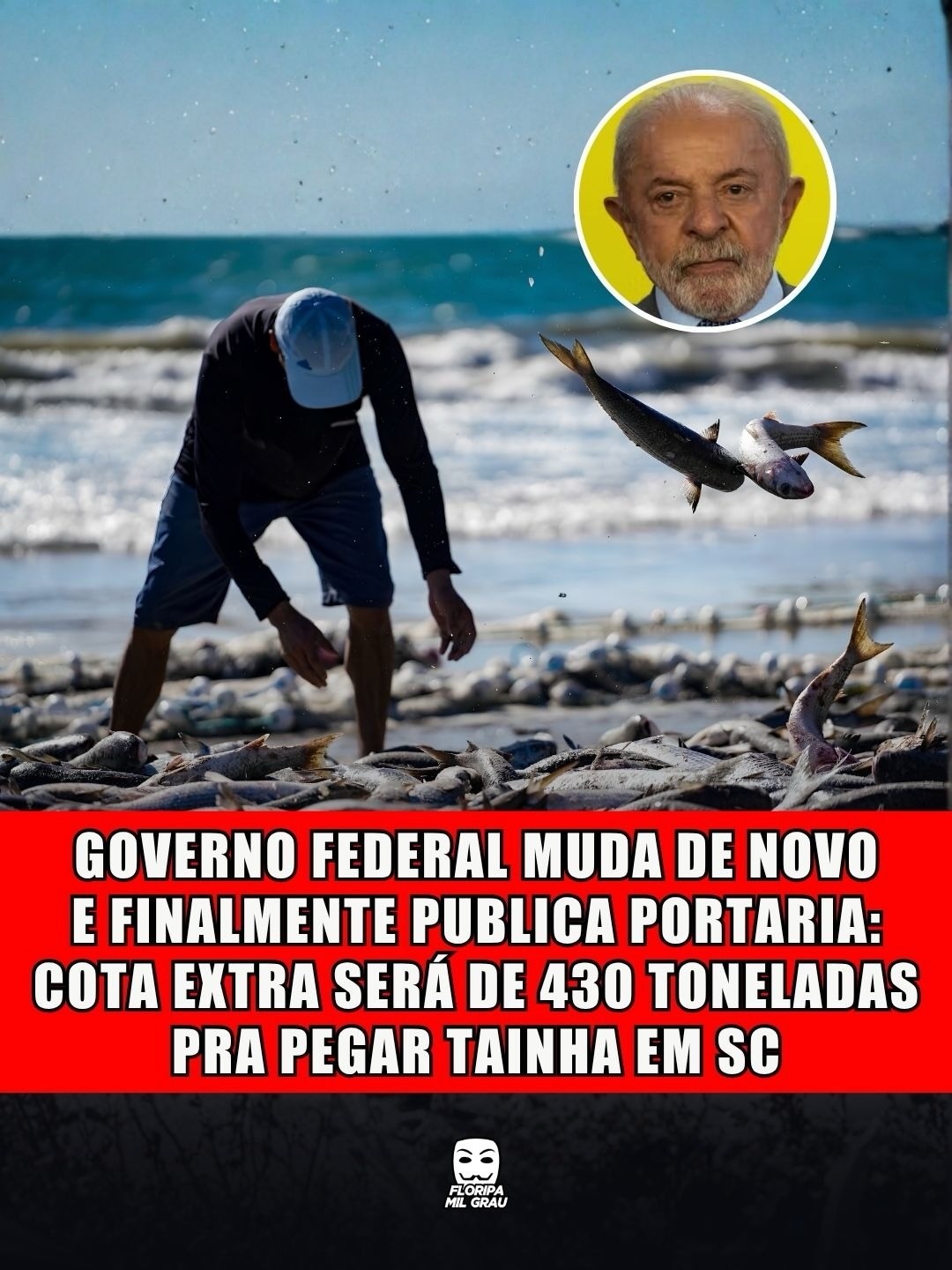 GOVERNO FEDERAL MUDA DE NOVO E FINALMENTE PUBLICA PORTARIA: COTA EXTRA SERÁ DE 430 TONELADAS PRA PEGAR TAINHA EM SC
