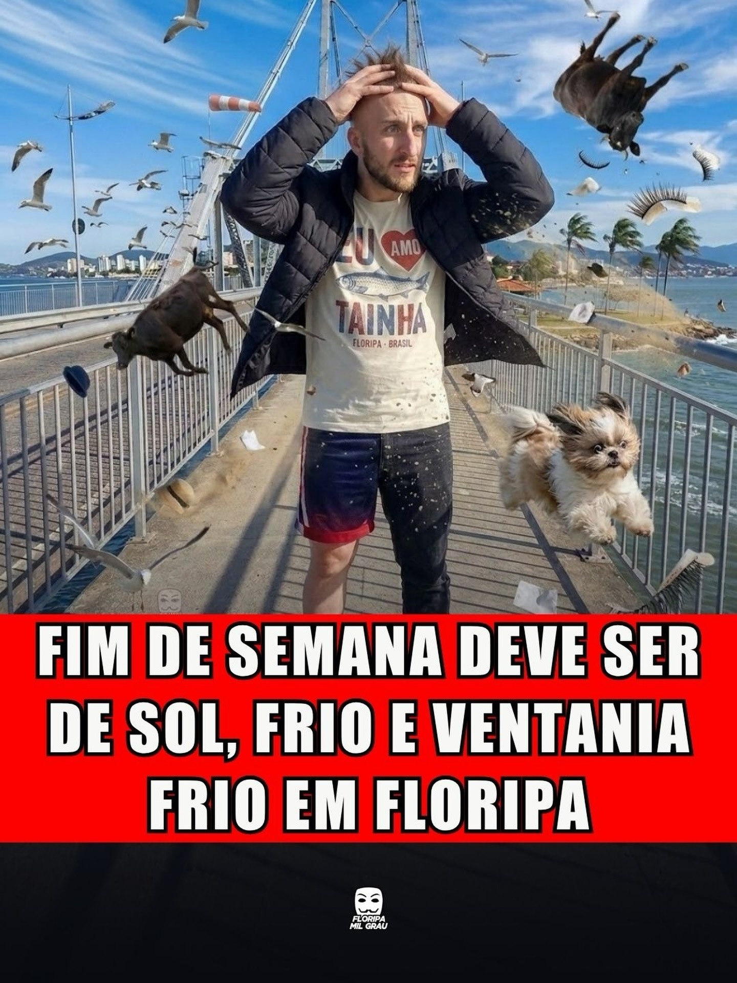 FIM DE SEMANA DEVE SER DE SOL, FRIO E VENTANIA FRIO EM FLORIPA