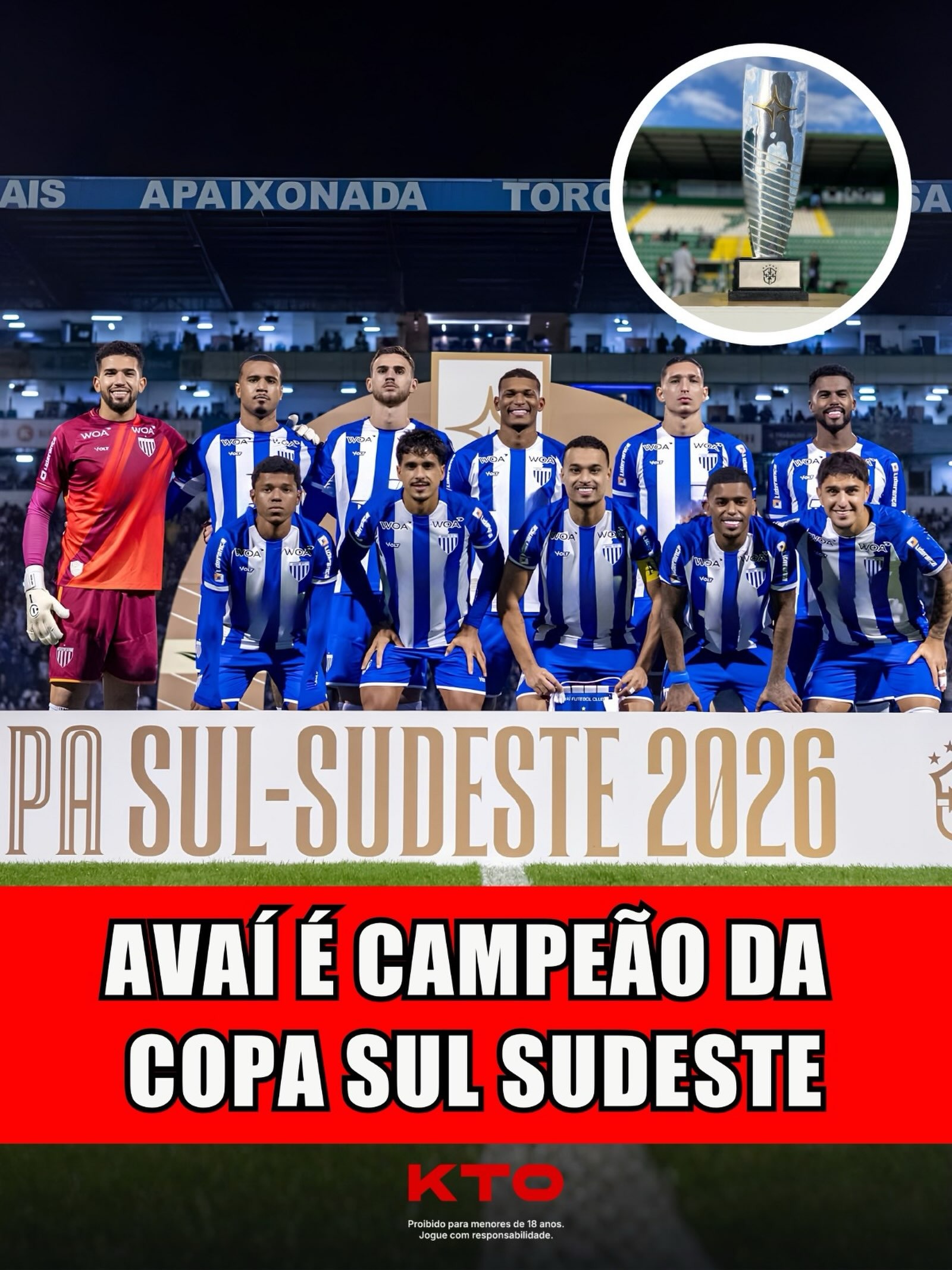 AVAÍ É CAMPEÃO DA COPA SUL SUDESTE