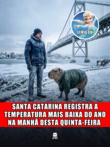 SANTA CATARINA REGISTRA A TEMPERATURA MAIS BAIXA DO ANO NA MANHÃ DESTA QUINTA-FEIRA