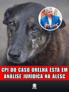 CPI DO CASO ORELHA ESTÁ EM ANÁLISE JURÍDICA NA ALESC