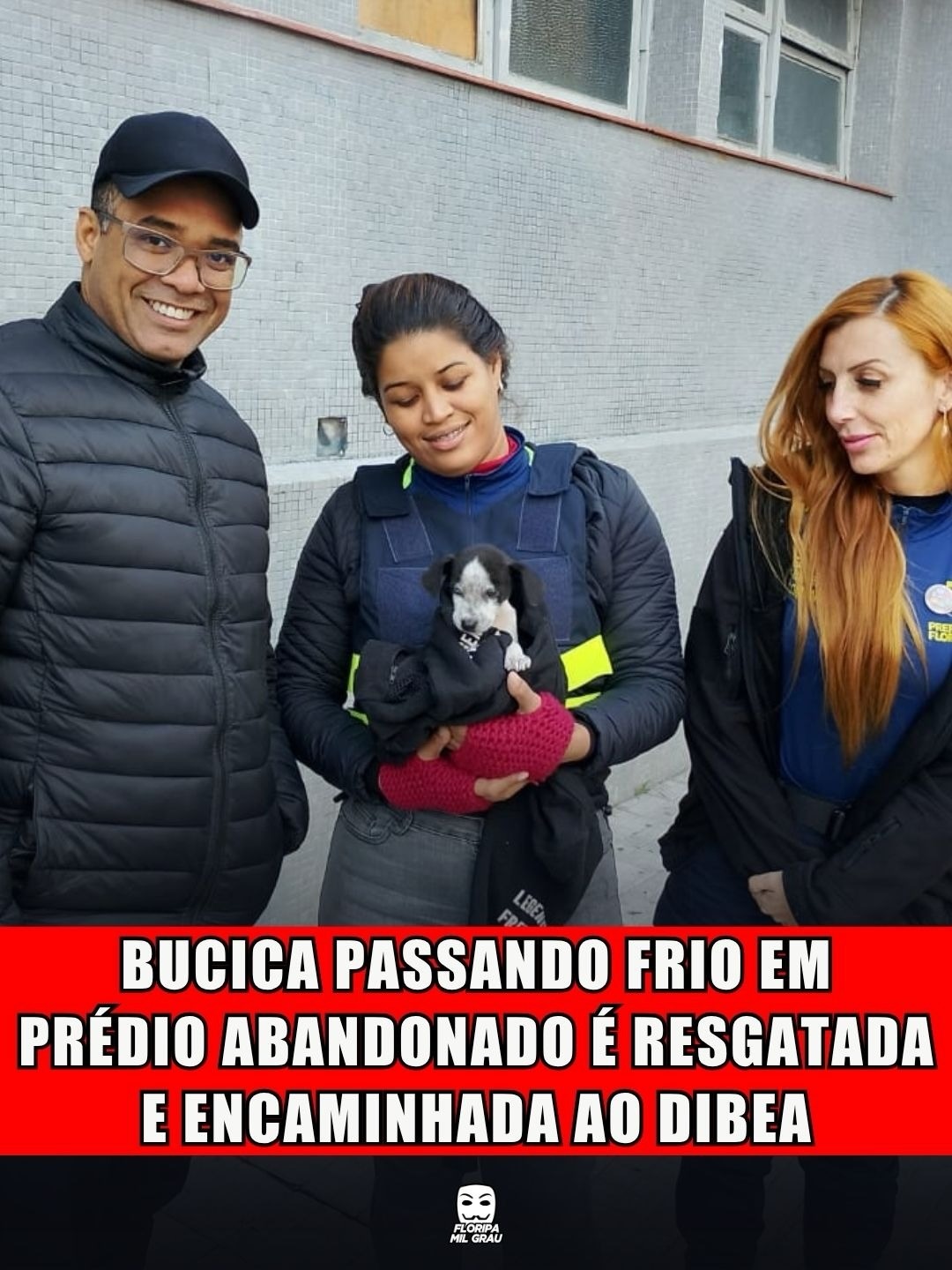 BUCICA PASSANDO FRIO EM PRÉDIO ABANDONADO É RESGATADA E ENCAMINHADA AO DIBEA