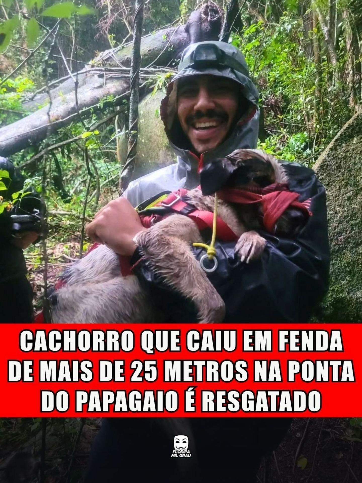 CACHORRO QUE CAIU EM FENDA DE MAIS DE 25 METROS NA PONTA DO PAPAGAIO É RESGATADO