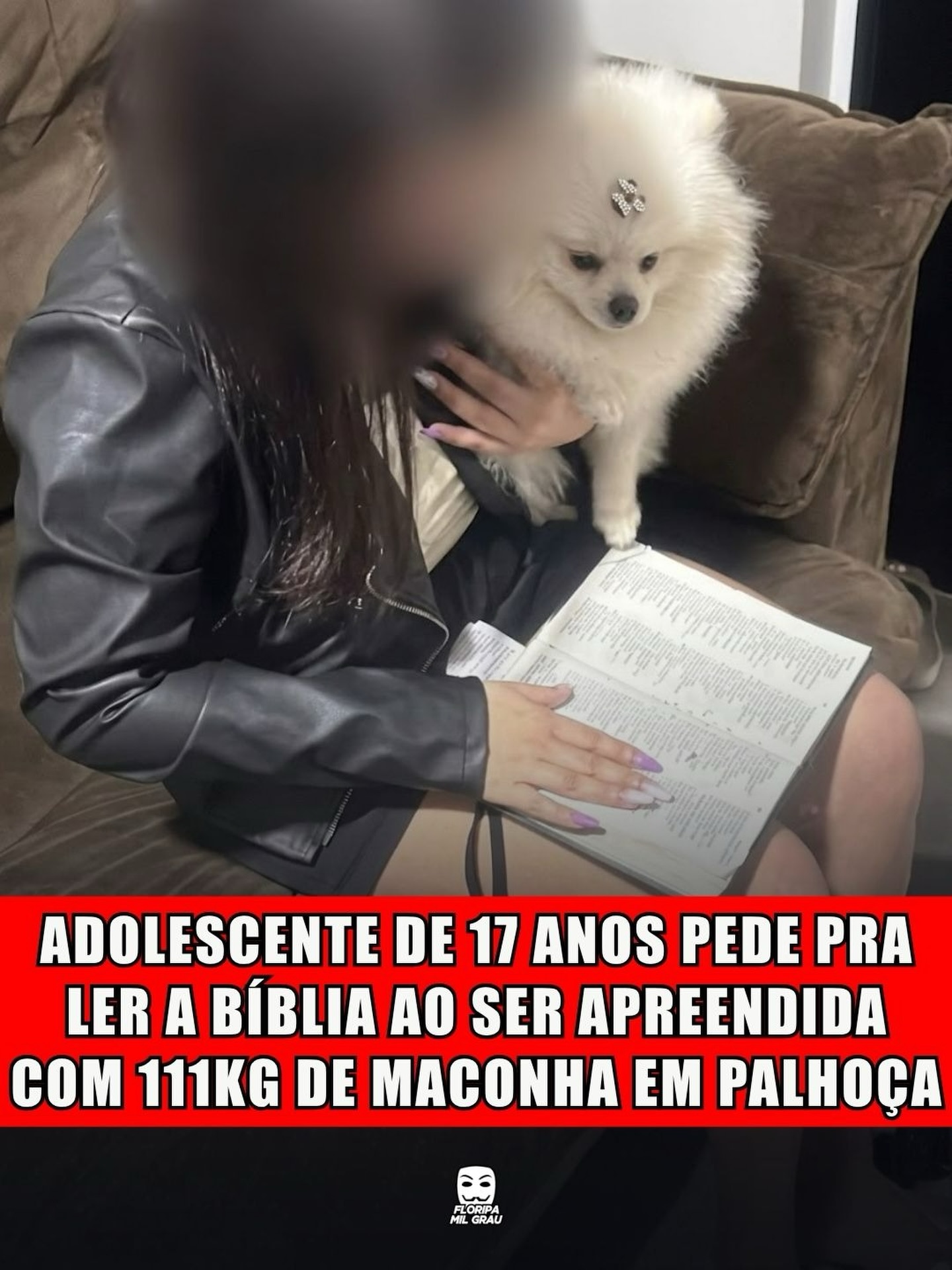 ADOLESCENTE DE 17 ANOS PEDE PRA LER A BÍBLIA AO SER APREENDIDA COM 111KG DE MACONHA EM PALHOÇA