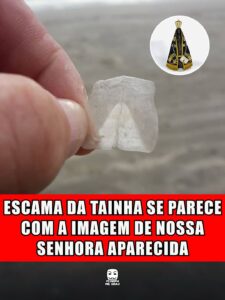 ESCAMA DA TAINHA SE PARECE COM A IMAGEM DE NOSSA SENHORA APARECIDA